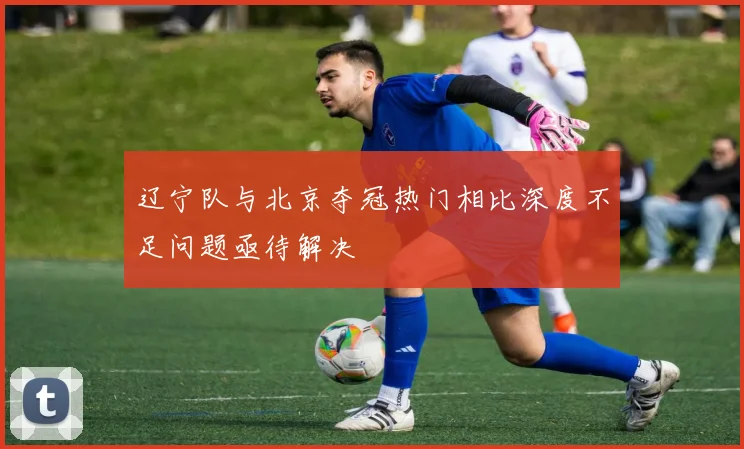 辽宁队与北京夺冠热门相比深度不足问题亟待解决